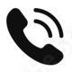 Phone icon